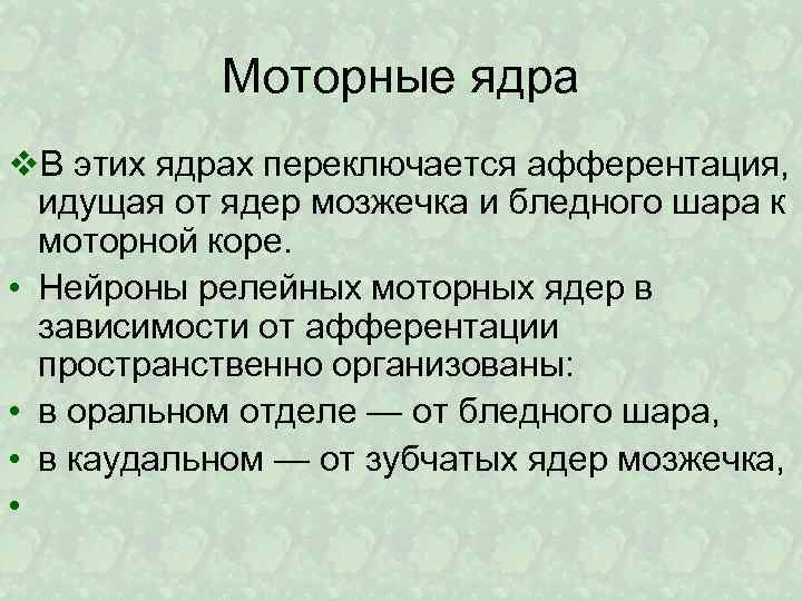 Моторные ядра v. В этих ядрах переключается афферентация, идущая от ядер мозжечка и бледного