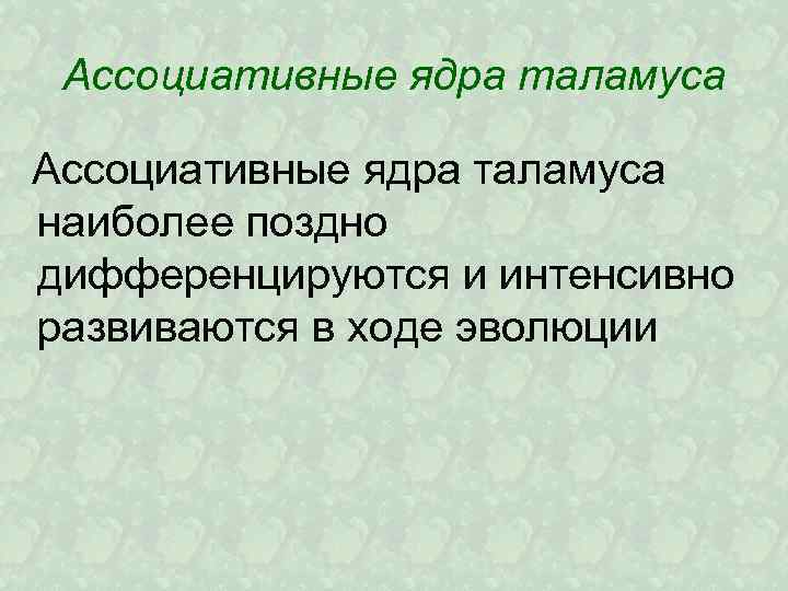 Ассоциативные ядра таламуса наиболее поздно дифференцируются и интенсивно развиваются в ходе эволюции 