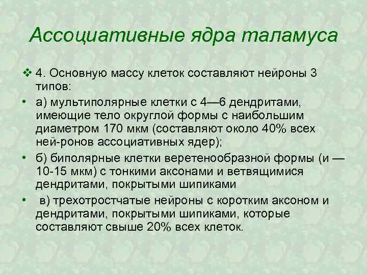 Ассоциативные ядра таламуса v 4. Основную массу клеток составляют нейроны 3 типов: • а)