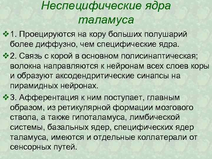 Неспецифические ядра таламуса v 1. Проецируются на кору больших полушарий более диффузно, чем специфические