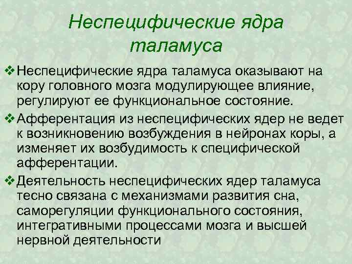 Неспецифические ядра таламуса v Неспецифические ядра таламуса оказывают на кору головного мозга модулирующее влияние,