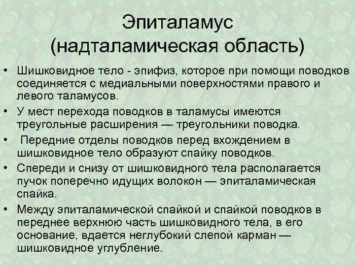 Эпиталамус (надталамическая область) • Шишковидное тело эпифиз, которое при помощи поводков соединяется с медиальными