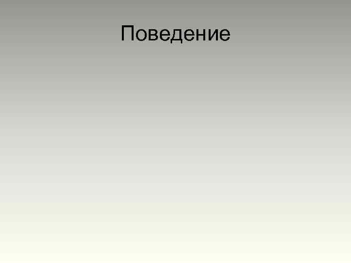 Поведение 
