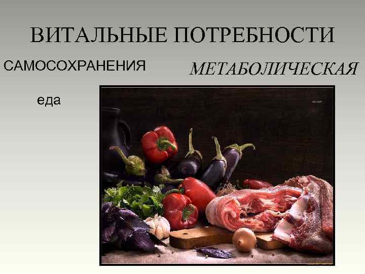 ВИТАЛЬНЫЕ ПОТРЕБНОСТИ САМОСОХРАНЕНИЯ еда МЕТАБОЛИЧЕСКАЯ 