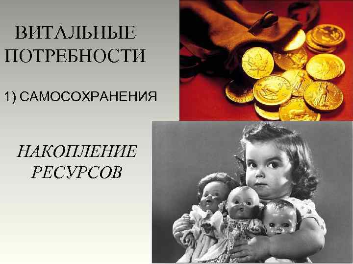 ВИТАЛЬНЫЕ ПОТРЕБНОСТИ 1) САМОСОХРАНЕНИЯ НАКОПЛЕНИЕ РЕСУРСОВ 