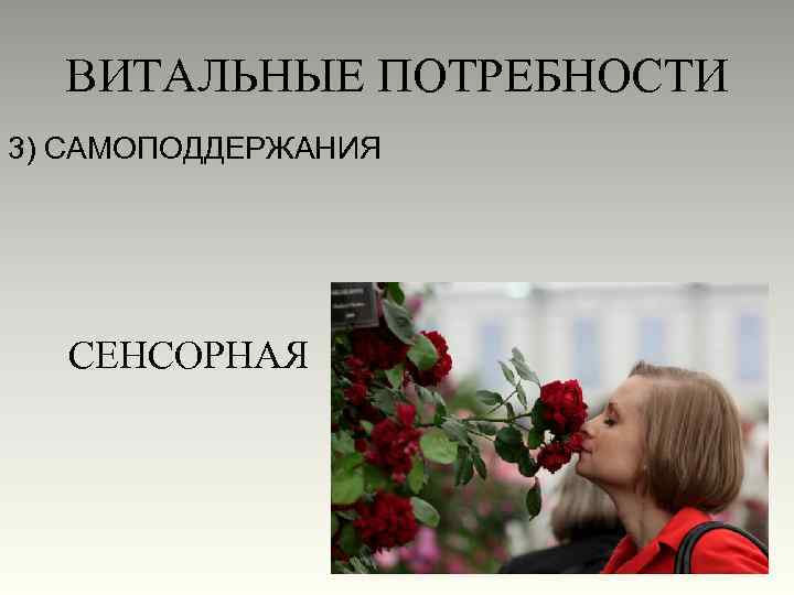 ВИТАЛЬНЫЕ ПОТРЕБНОСТИ 3) САМОПОДДЕРЖАНИЯ СЕНСОРНАЯ 