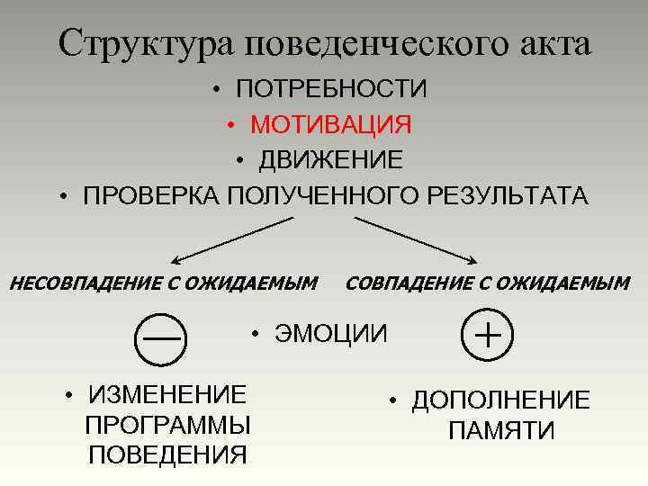 Структура поведенческого акта • ПОТРЕБНОСТИ • МОТИВАЦИЯ • ДВИЖЕНИЕ • ПРОВЕРКА ПОЛУЧЕННОГО РЕЗУЛЬТАТА НЕСОВПАДЕНИЕ