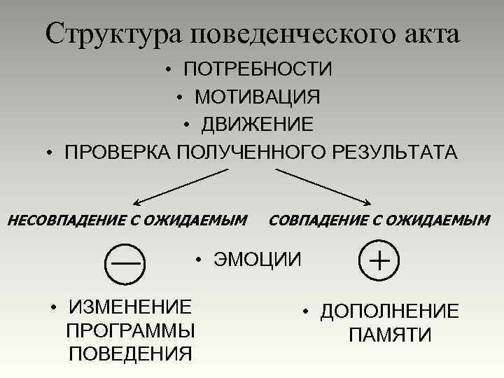 Структура поведенческого акта • ПОТРЕБНОСТИ • МОТИВАЦИЯ • ДВИЖЕНИЕ • ПРОВЕРКА ПОЛУЧЕННОГО РЕЗУЛЬТАТА НЕСОВПАДЕНИЕ