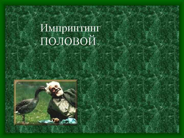 Импринтинг ПОЛОВОЙ 