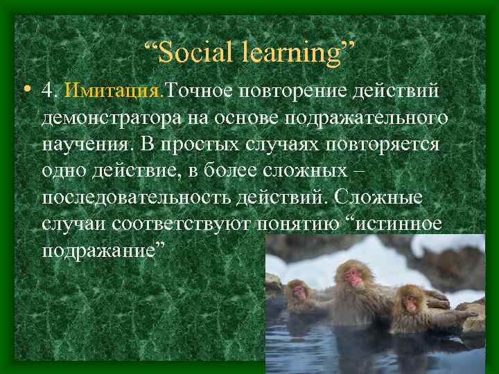 “Social learning” • 4. Имитация. Точное повторение действий демонстратора на основе подражательного научения. В