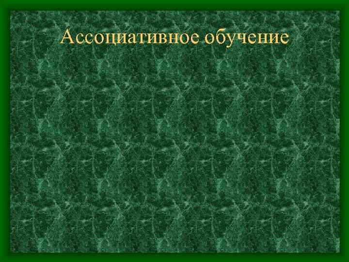 Ассоциативное обучение 