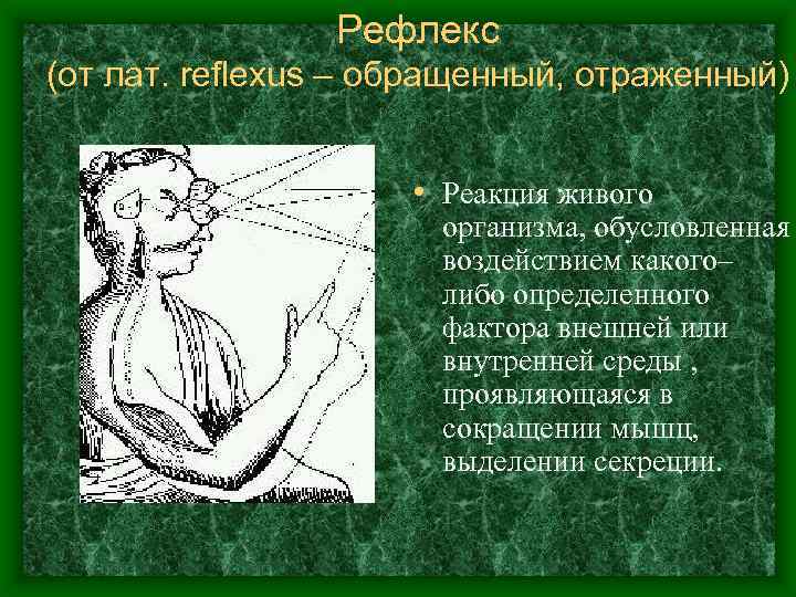 Рефлекс (от лат. reflexus – обращенный, отраженный) • Реакция живого организма, обусловленная воздействием какого–