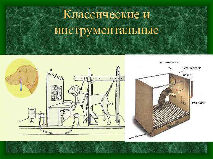 Классические и инструментальные 