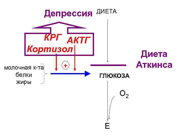 Депрессия ДИЕТА КРГ АКТГ Кортизол молочная к-та белки жиры Диета Аткинса + ГЛЮКОЗА глюконеогенез