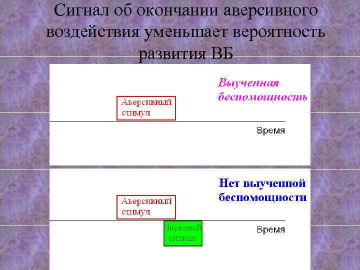 Сигнал об окончании аверсивного воздействия уменьшает вероятность развития ВБ 