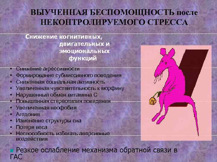 Выученная беспомощность