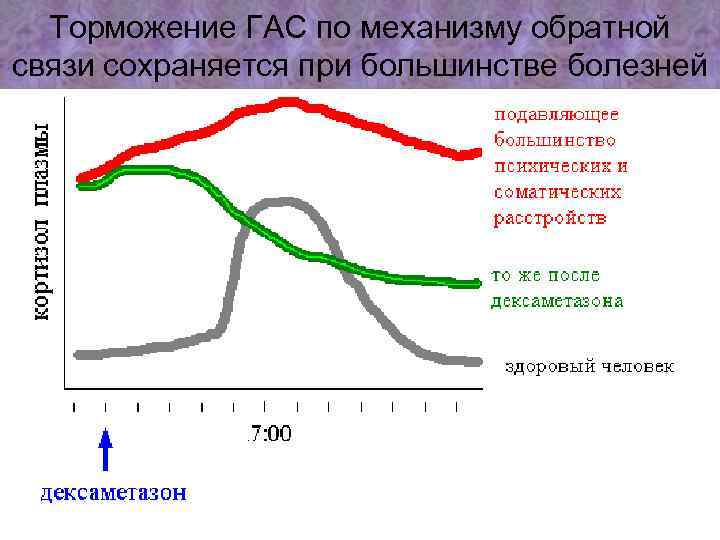 Торможение ГАС по механизму обратной связи сохраняется при большинстве болезней 