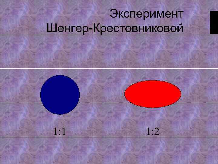 Эксперимент Шенгер-Крестовниковой 1: 1 1: 2 