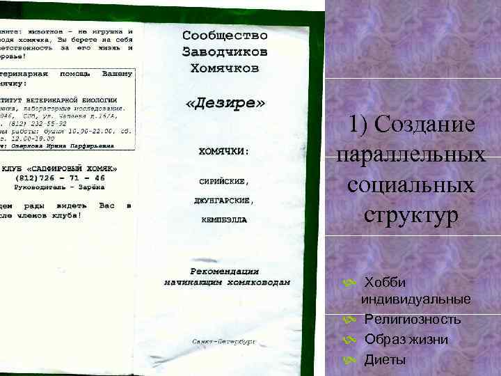 1) Создание параллельных социальных структур Хобби индивидуальные Религиозность Образ жизни Диеты 