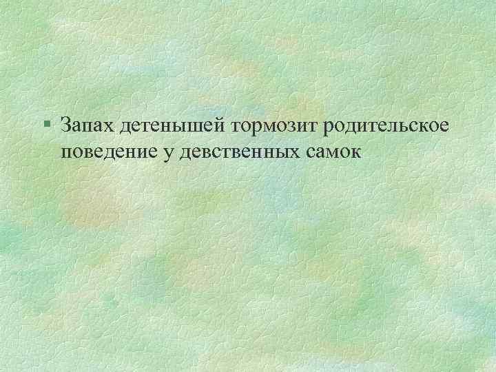 § Запах детенышей тормозит родительское поведение у девственных самок 