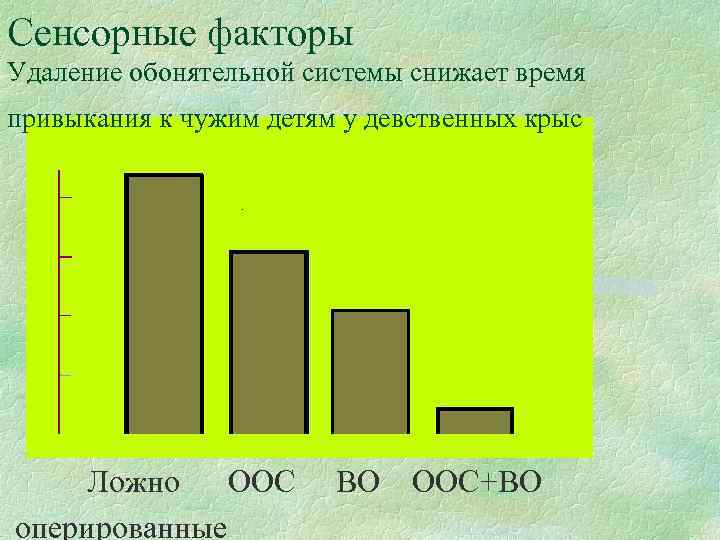 Сенсорные факторы Удаление обонятельной системы снижает время привыкания к чужим детям у девственных крыс