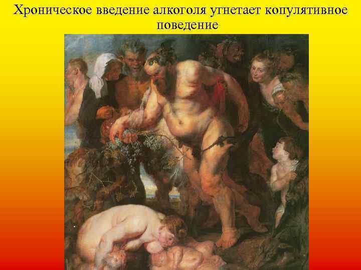 Хроническое введение алкоголя угнетает копулятивное поведение 