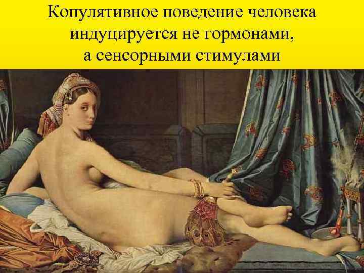 Копулятивное поведение человека индуцируется не гормонами, а сенсорными стимулами 