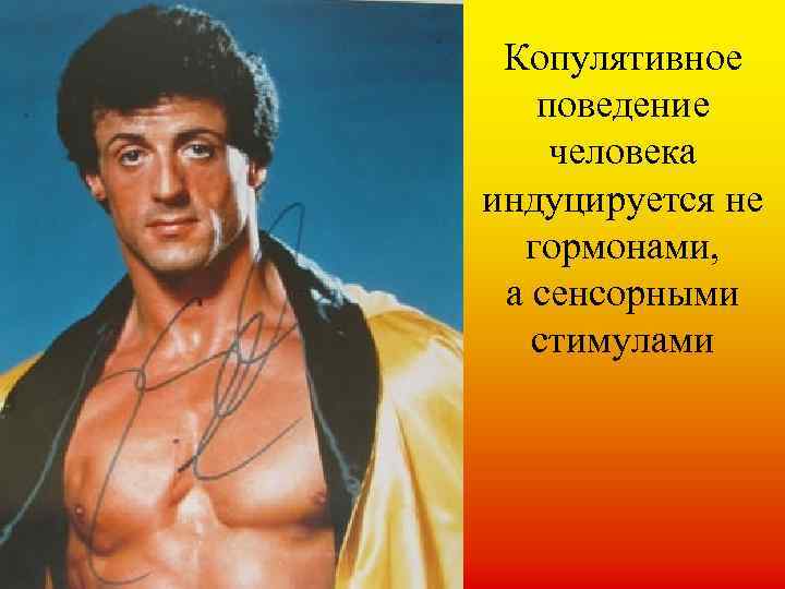 Копулятивное поведение человека индуцируется не гормонами, а сенсорными стимулами 