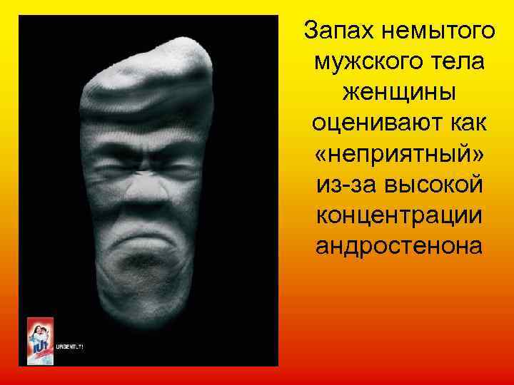 Запах немытого мужского тела женщины оценивают как «неприятный» из-за высокой концентрации андростенона 