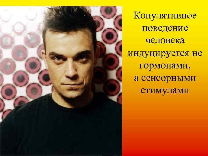 Копулятивное поведение человека индуцируется не гормонами, а сенсорными стимулами 