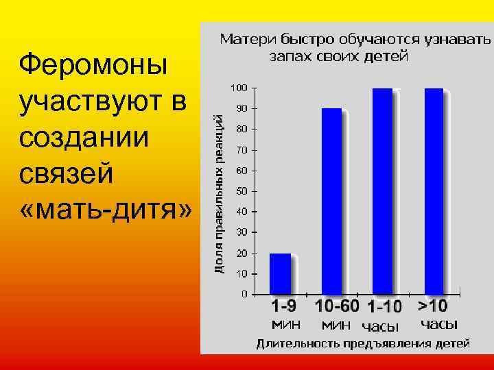 Феромоны участвуют в создании связей «мать-дитя» 