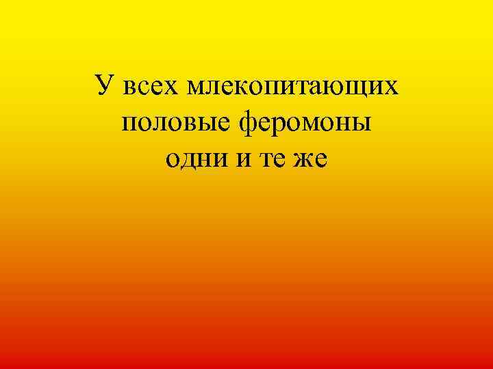 У всех млекопитающих половые феромоны одни и те же 