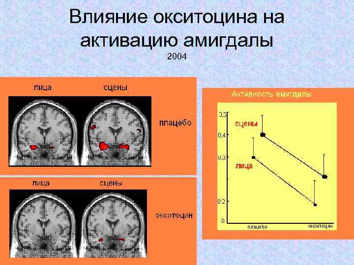 Влияние окситоцина на активацию амигдалы 2004 