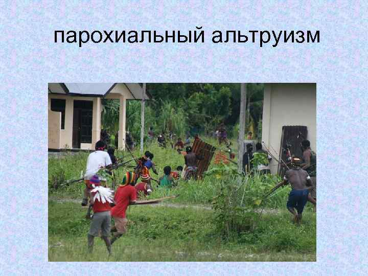 парохиальный альтруизм 