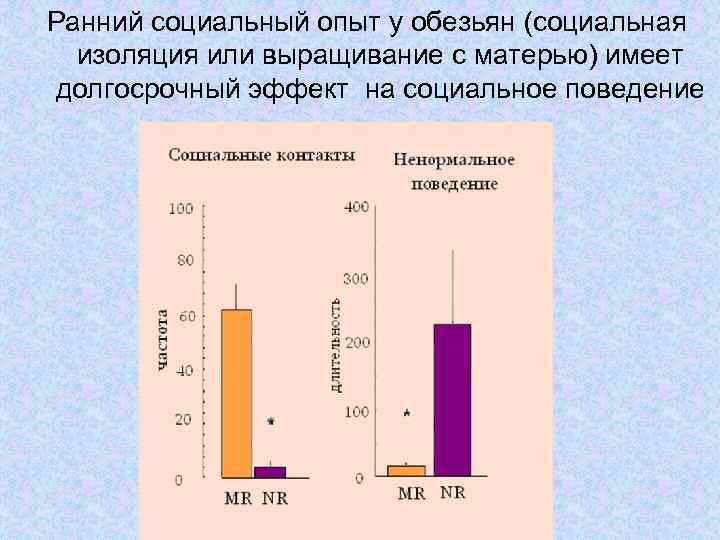 Ранний социальный опыт у обезьян (социальная изоляция или выращивание с матерью) имеет долгосрочный эффект