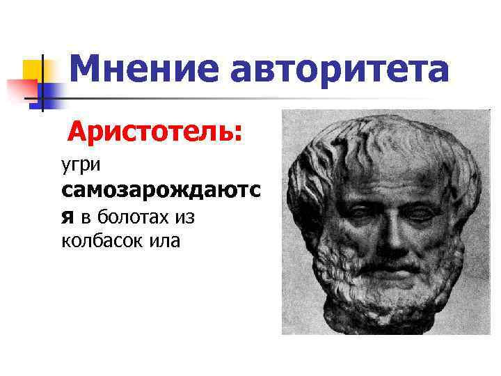 Мнение авторитета Аристотель: угри самозарождаютс я в болотах из колбасок ила 