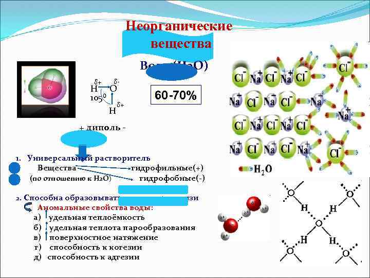 Неорганические вещества Вода (H 2 O) ¨ H: O: ¨ H δ+ δ- H