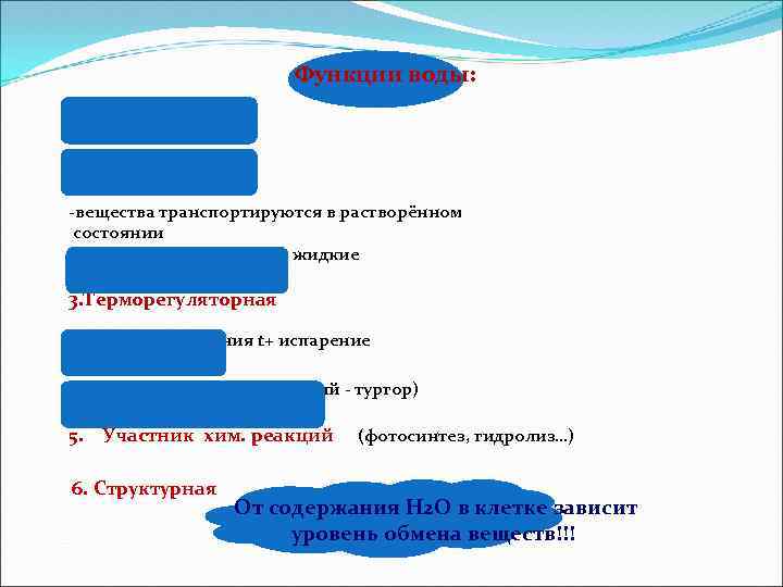 Функции воды: 1. Растворитель 2. Транспортная -вещества транспортируются в растворённом состоянии -все транспортные среды