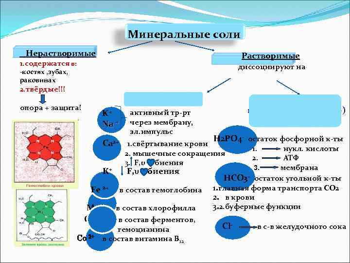 Минеральных солей. Минеральные соли растворимые и нерастворимые. Нерастворимые Минеральные соли. Растворимые Минеральные соли. Примеры Минеральных солей.