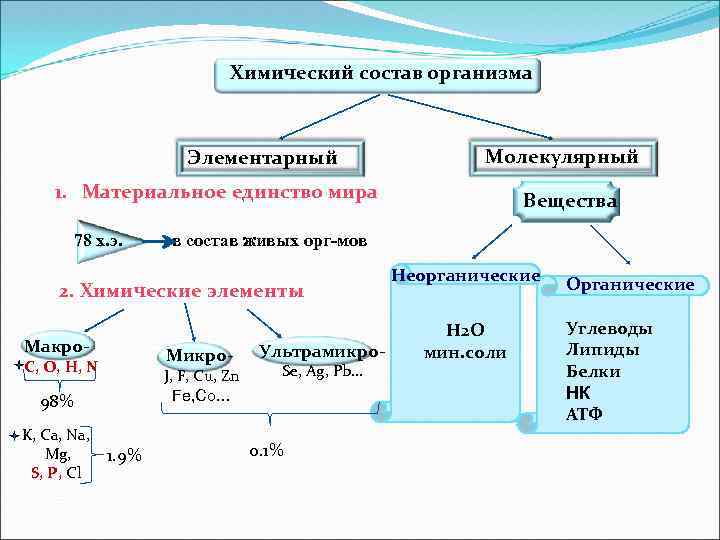 Единство химического. Элементарный состав клетки схема. Молекулярный состав клетки живых организмов. Элементарный состав организмов. Химический состав организма.