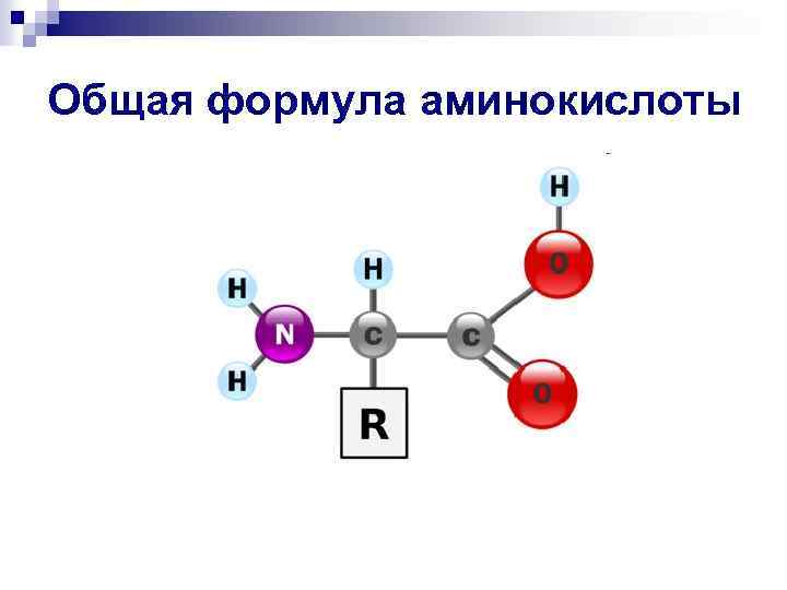 Общая формула аминокислоты 