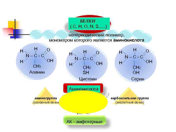 БЕЛКИ ( С, Н, О, N, S, …. ) непериодический полимер, мономером которого является