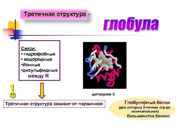 Третичная структура - Связи: • гидрофобные • водородные • Ионные • дисульфидные между R