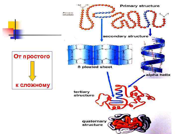От простого к сложному 