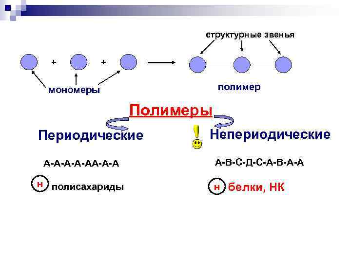 структурные звенья + + полимер мономеры Полимеры Периодические А-А-АА-А-А н полисахариды Непериодические А-В-С-Д-С-А-В-А-А н