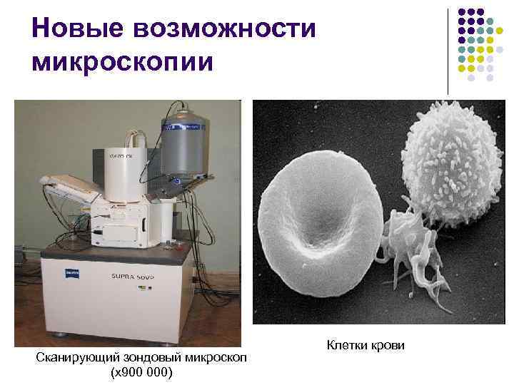 Новые возможности микроскопии Сканирующий зондовый микроскоп (х900 000) Клетки крови 