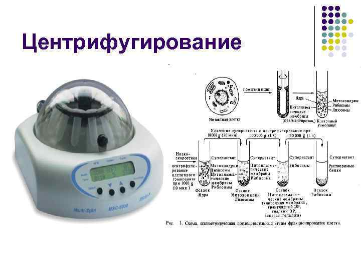 Центрифугирование 
