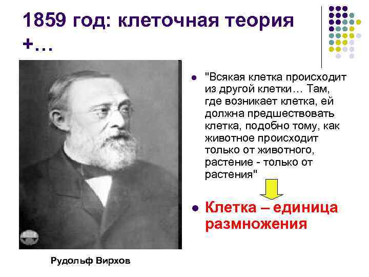 1859 год: клеточная теория +… l l Рудольф Вирхов 