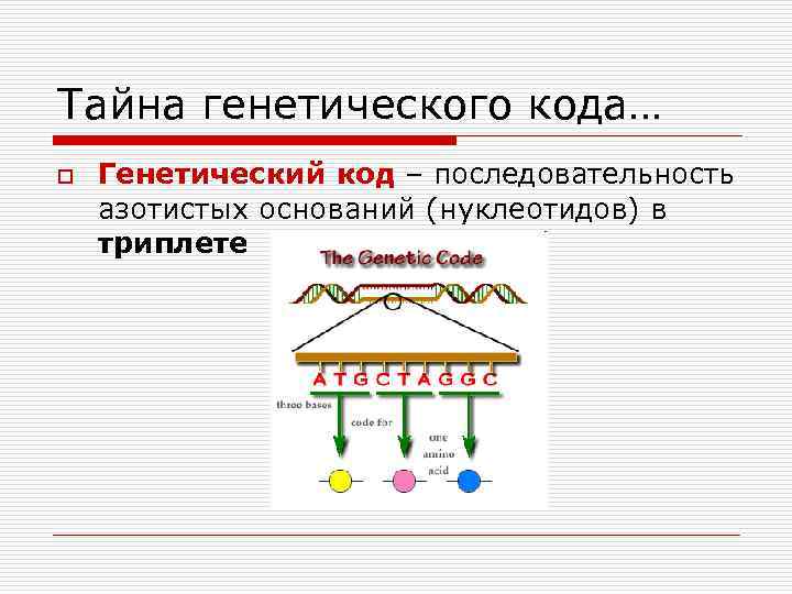 Тайна генетического кода… o Генетический код – последовательность азотистых оснований (нуклеотидов) в триплете 