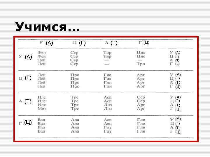 Учимся… (А) (Г) (Т) (Ц) (А) (Г) (Т) (Ц) 